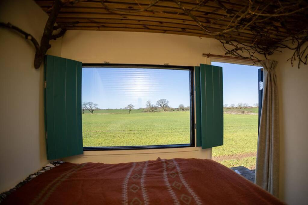 'Pipistrelle' Remote Off-Grid Micro Cabin Villa Sedgefield Buitenkant foto
