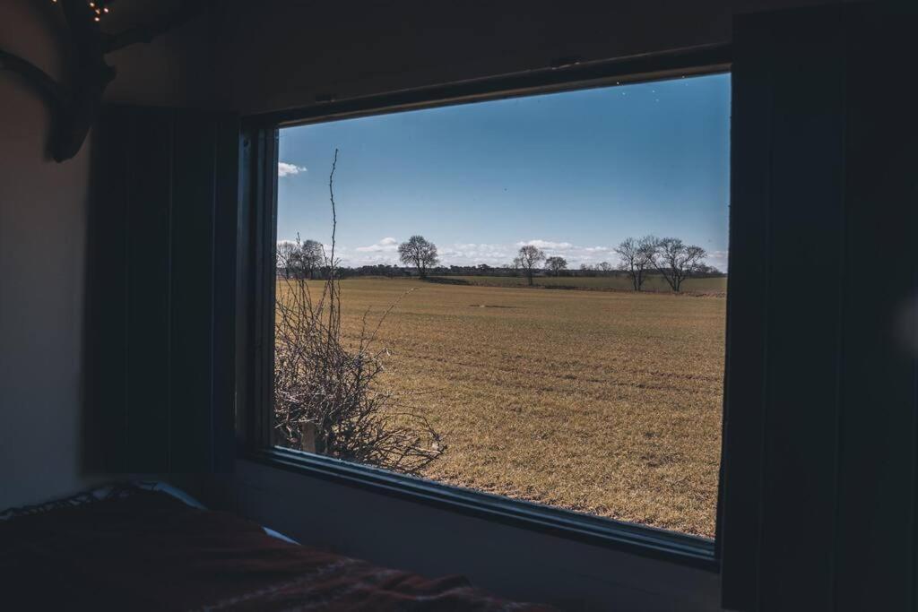 'Pipistrelle' Remote Off-Grid Micro Cabin Villa Sedgefield Buitenkant foto